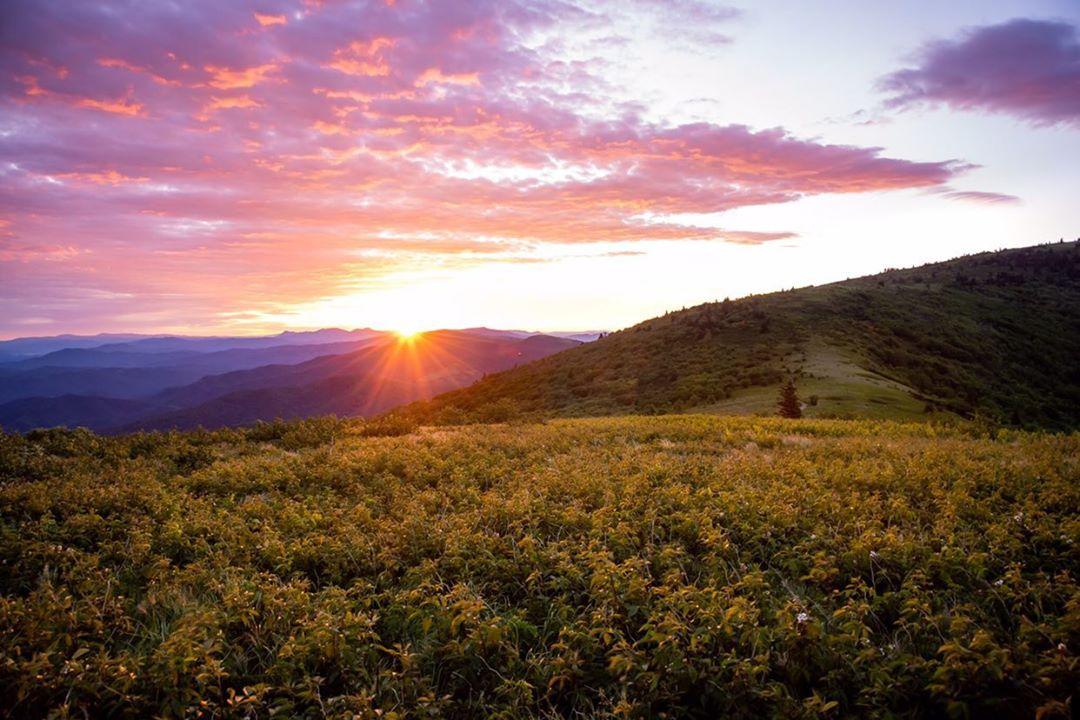 Roan Mountains